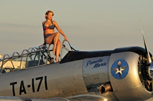 1940s style pin-up girl sitting on the cockpit of a World War II T-6 Texan 1940s style pin-up girl sitting on the cockpit of a World War II T-6 Texan