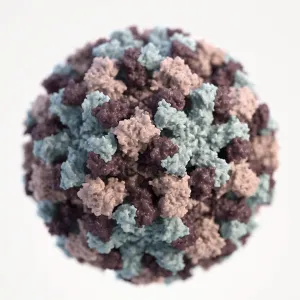 RNA Virus Structure Prints: A 3D graphical representation of a single Norovirus
