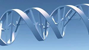 DNA Double Helix 3D Print