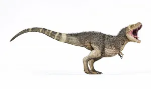 Tyrannosaurus Rex Illustration Prints: 3D rendering of T-rex with feathers