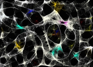 Futuristic Digital Illustration Prints: Abstract wavy lines pattern