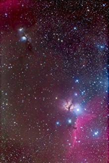 Area around the Belt of Orion, with the Horsehead and Flame Nebula Area around the Belt of Orion, with the Horsehead and Flame Nebula