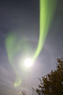 Aurora borealis with full moon, halo and Venus by Lake Laberge, Yukon, Canada Aurora borealis with full moon, halo and Venus by Lake Laberge, Yukon, Canada