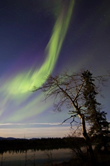 Aurora borealis over the Yukon River, Whitehorse, Canada Aurora borealis over the Yukon River, Whitehorse, Canada