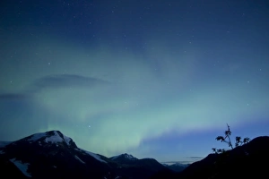 Aurora, Salmon Glacier, British Columbia, Canada Aurora, Salmon Glacier, British Columbia, Canada