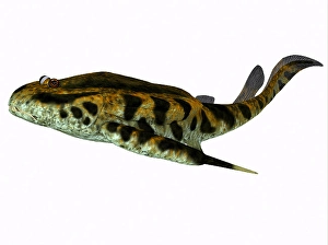 White Background Wildlife Art Prints: Bothriolepis fish, side profile