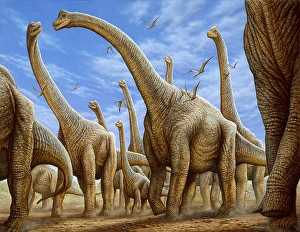 2021 Prints: Brachiosaurus Print: Large Herbivore Herd in Motion