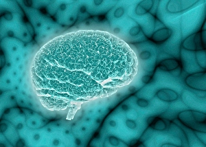 Biomedical Illustrations Of The Brain Prints: Brain on psychedelic background