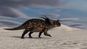 Cretaceous Era Animals Prints: Brown Einiosaurus walking across a desert landscape
