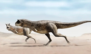 Paleozoology Images Prints: Two Carnotaurus run for the steppe