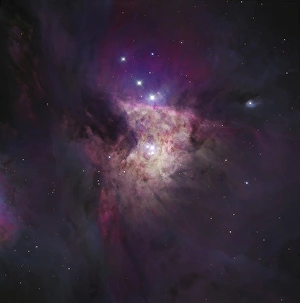 The Center of the Orion Nebula (The Trapezium Cluster) The Center of the Orion Nebula (The Trapezium Cluster)
