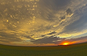 Sunset Over Farmland Prints: Cloudscape at sunset, Alberta, Canada