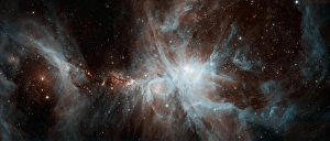 A colony of hot young stars in the Orion Nebula A colony of hot young stars in the Orion Nebula