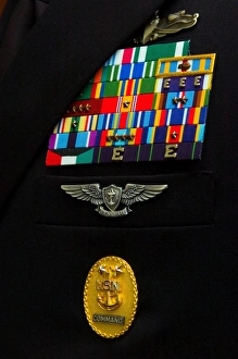 The command master chief badge The command master chief badge