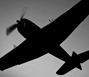 The Commemorative Air Forces F6F-5 Hellcat in flight The Commemorative Air Forces F6F-5 Hellcat in flight