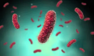 Gram Positive Bacteria Prints: Conceptual image of the Bacillus bacteria