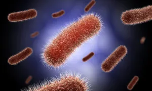 Medical Microbiology Prints: Conceptual image of the Bacillus bacteria