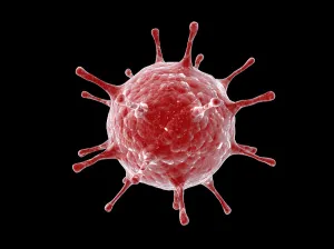 Cell Biology Images Prints: Conceptual image of a virus