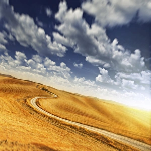 A country road in field against moody sky, Tuscany, Italy A country road in field against moody sky, Tuscany, Italy