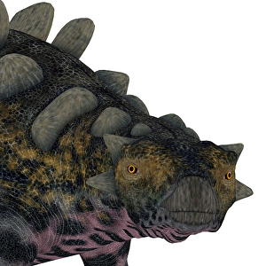 Cretaceous Period Creatures Prints: Crichtonsaurus dinosaur head