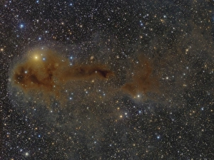 Cepheus A Dark Nebula Print