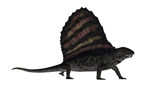 Fierce Prehistoric Creatures Prints: Dimetrodon dinosaur - 3D render