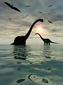 Diplodocus dinosaurs bathe in a large body of water Diplodocus dinosaurs bathe in a large body of water
