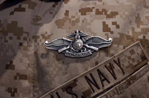 The Enlisted Fleet Marine Force Warfare Specialist pin The Enlisted Fleet Marine Force Warfare Specialist pin