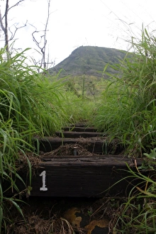The first step invites hikers up Koko Crater The first step invites hikers up Koko Crater