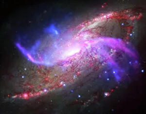 A galactic light show in spiral galaxy NGC 4258 A galactic light show in spiral galaxy NGC 4258