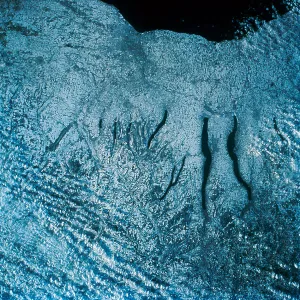 Ice Covered Landscapes Prints: Ice from Space