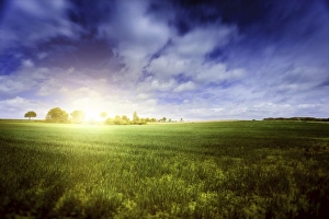 Idyllic meadow with sun over horizon against cloudy sky, Denmark Idyllic meadow with sun over horizon against cloudy sky, Denmark