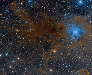 Cepheus Constellation Prints: The Iris Nebula in Cepheus