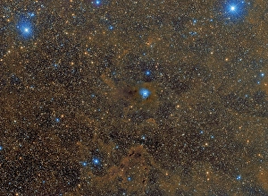 Cepheus Constellation Prints: The Iris Nebula in Cepheus