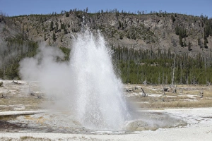Jewel Geyser, Upper Geyser Basin geothermal area, Yellowstone National Park, Wyoming Jewel Geyser, Upper Geyser Basin geothermal area, Yellowstone National Park, Wyoming