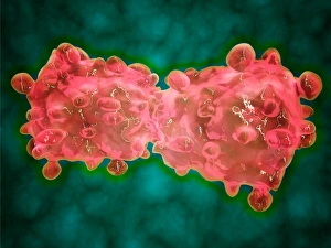 Microscopic Print of Leukemia Cell