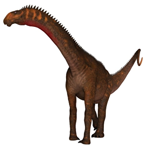 Dinosaur Artwork Prints: Mierasaurus dinosaur on white background