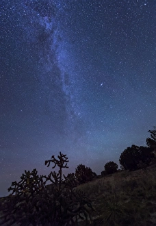 Milky Way rises over a hill of brush and cacti, Kenton, Okalhoma Milky Way rises over a hill of brush and cacti, Kenton, Okalhoma