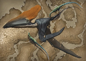 Mirischia scavengers pick away at the body of a dead Thalassodromeus sethi Mirischia scavengers pick away at the body of a dead Thalassodromeus sethi