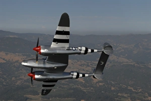 A P-38 Lightning in flight over Santa Rosa, California A P-38 Lightning in flight over Santa Rosa, California