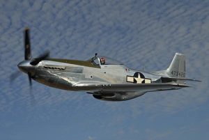 P-51D Mustang flying over Santa Rosa, California P-51D Mustang flying over Santa Rosa, California