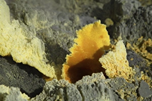 Papandayan sulfur cone, Java Island, Indonesia Papandayan sulfur cone, Java Island, Indonesia