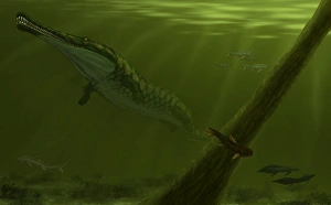 Pedra de Fogo Formation featuring a genus of Prionosuchus Pedra de Fogo Formation featuring a genus of Prionosuchus