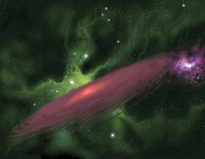 Star Formation Process Prints: Protostellar Disk