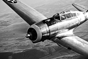 A Republic AT-12 Guardsman aircraft in flight A Republic AT-12 Guardsman aircraft in flight
