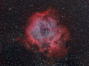 Rosette Nebula Prints: The Rosette Nebula