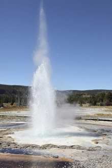 Sawmill Geyser, Upper Geyser Basin geothermal area, Yellowstone National Park, Wyoming Sawmill Geyser, Upper Geyser Basin geothermal area, Yellowstone National Park, Wyoming