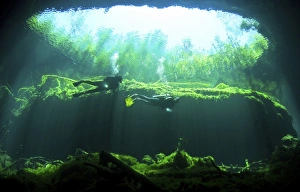 Two scuba divers in the cenote system on the Yucatan Peninsula of Mexico Two scuba divers in the cenote system on the Yucatan Peninsula of Mexico