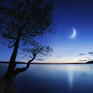 Silhouette of a lonely tree in a lake against a starry sky and moon Silhouette of a lonely tree in a lake against a starry sky and moon