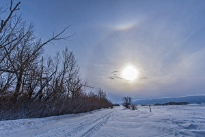 A solar halo around the Sun at the end of a snowy country road A solar halo around the Sun at the end of a snowy country road